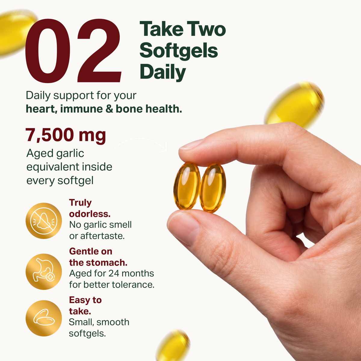Aged Garlic Extract Softgels