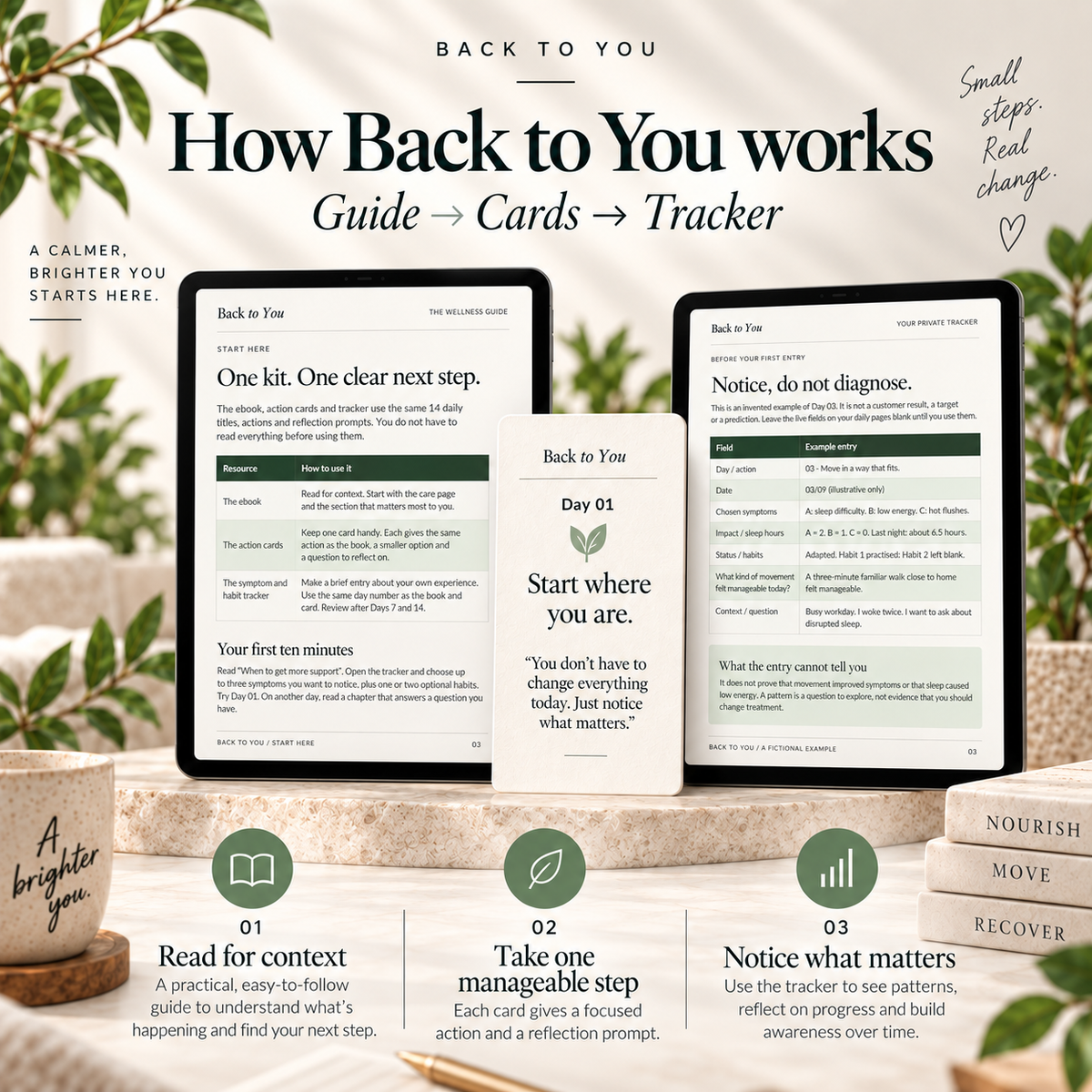 Back to You Midlife Guide Kit