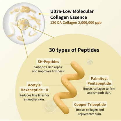 Silk Lift Peptide Ampoule