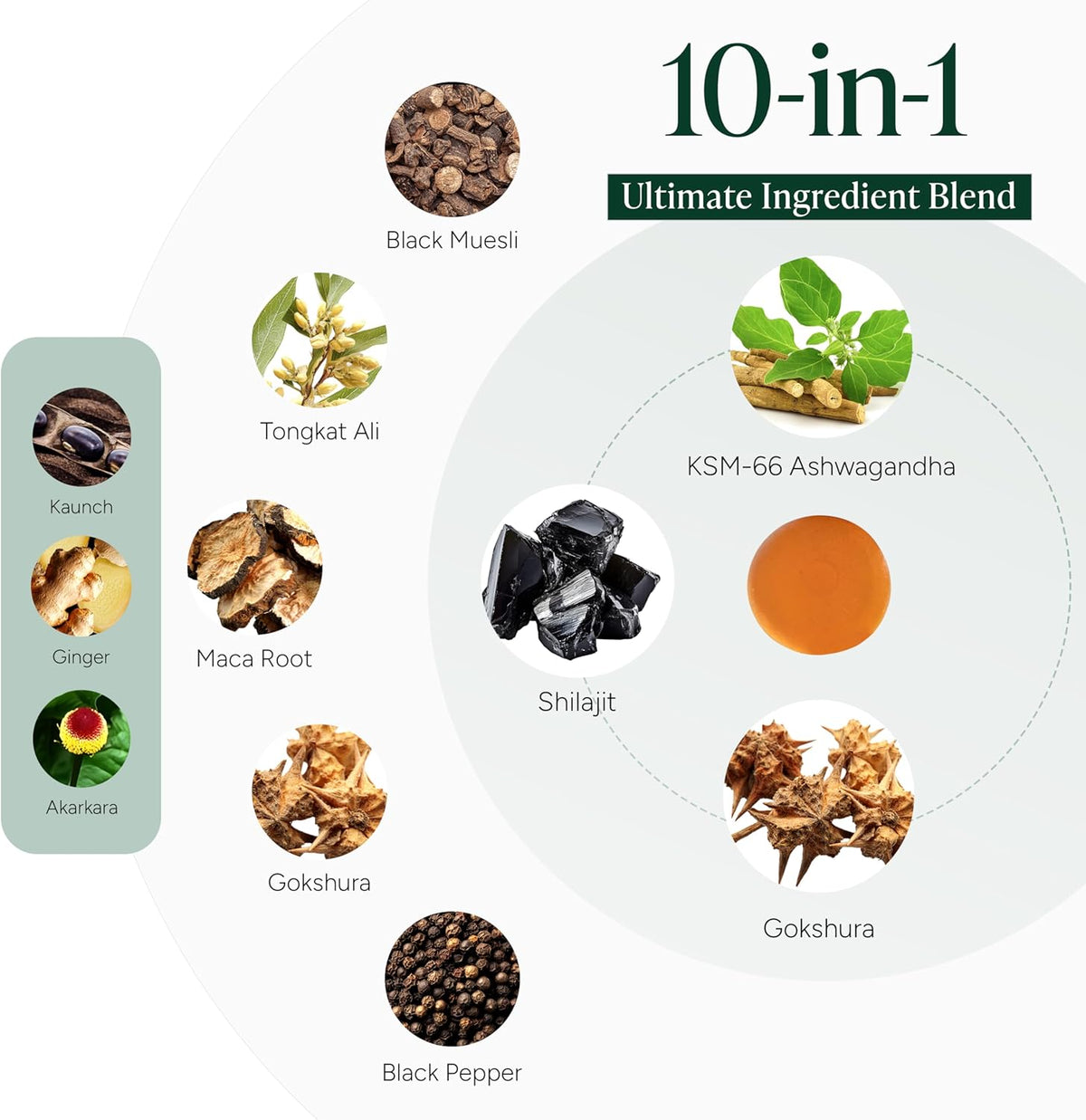 Powerful 10 in 1 - Alpha Gummies
