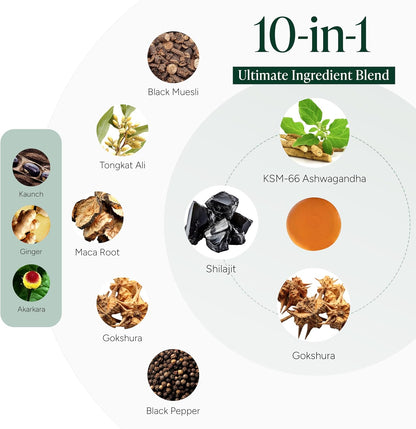 Powerful 10 in 1 - Alpha Gummies