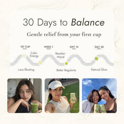 Herbal Probiotic Matcha