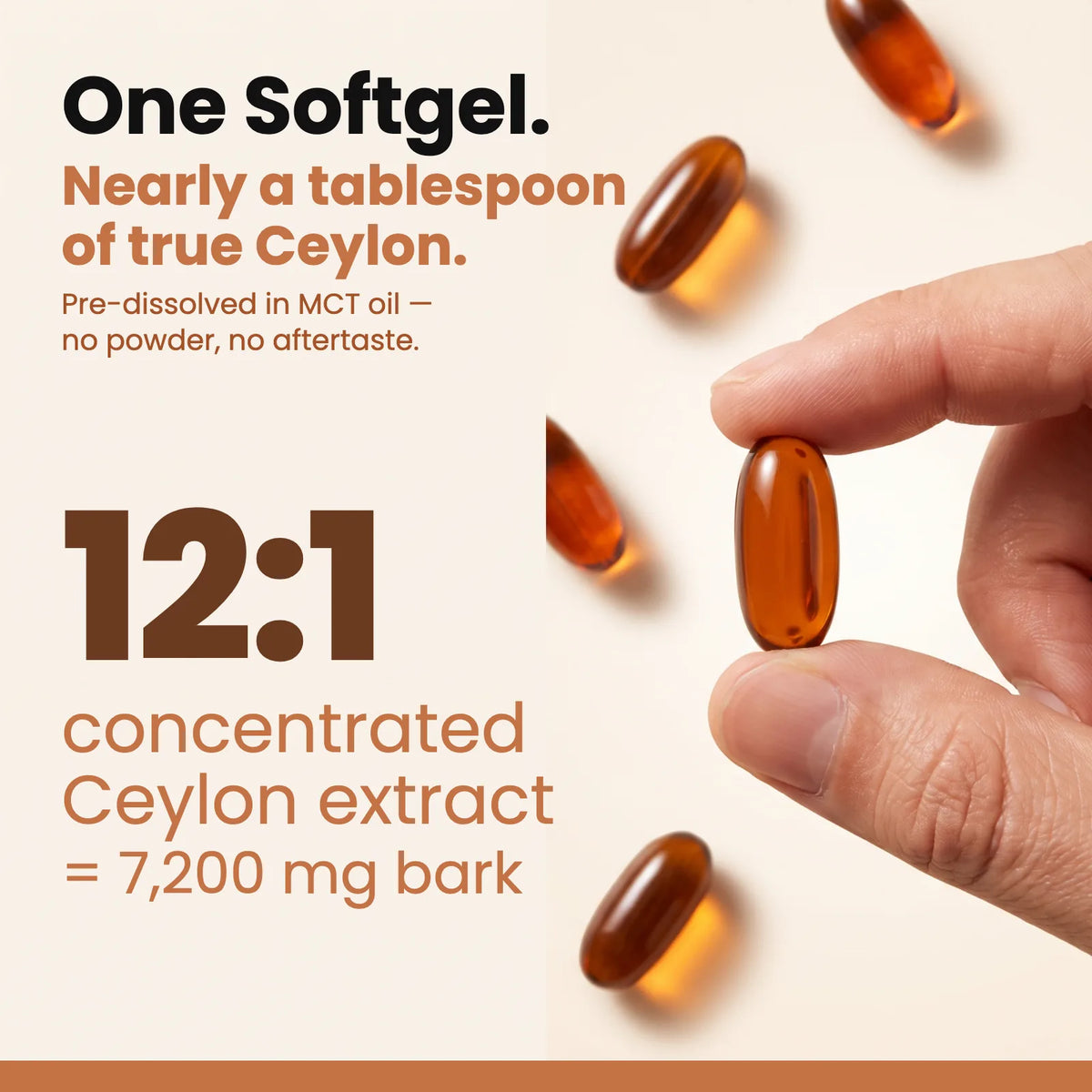 Ceylon Cinnamon Softgels with MCT