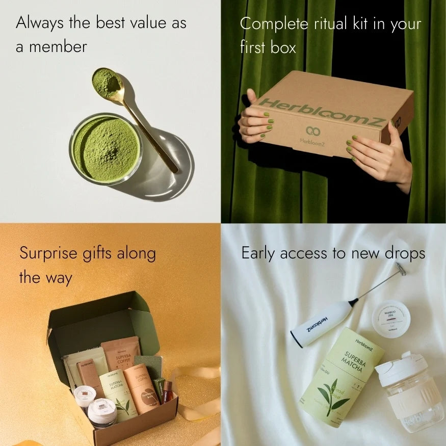 Herbal Probiotic Matcha