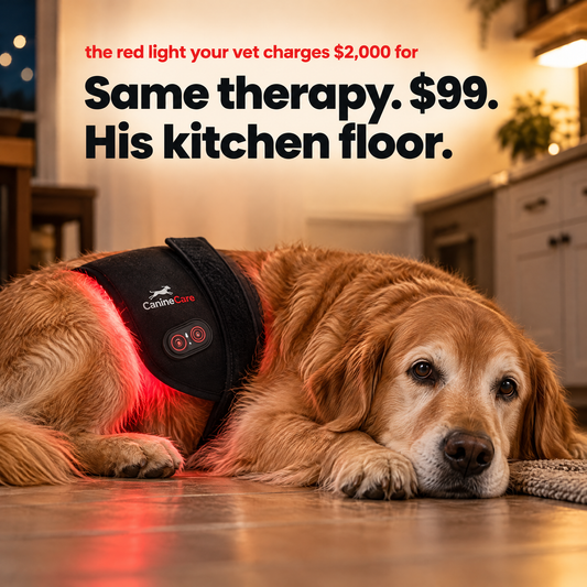Dog Red Light Therapy Pad