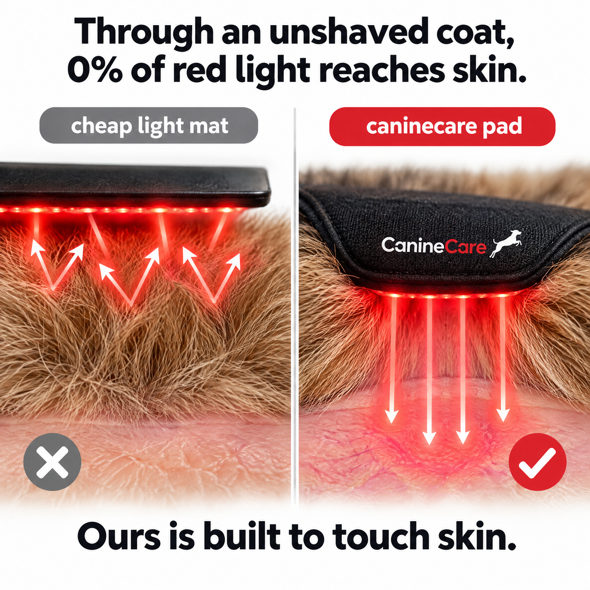 Dog Red Light Therapy Pad