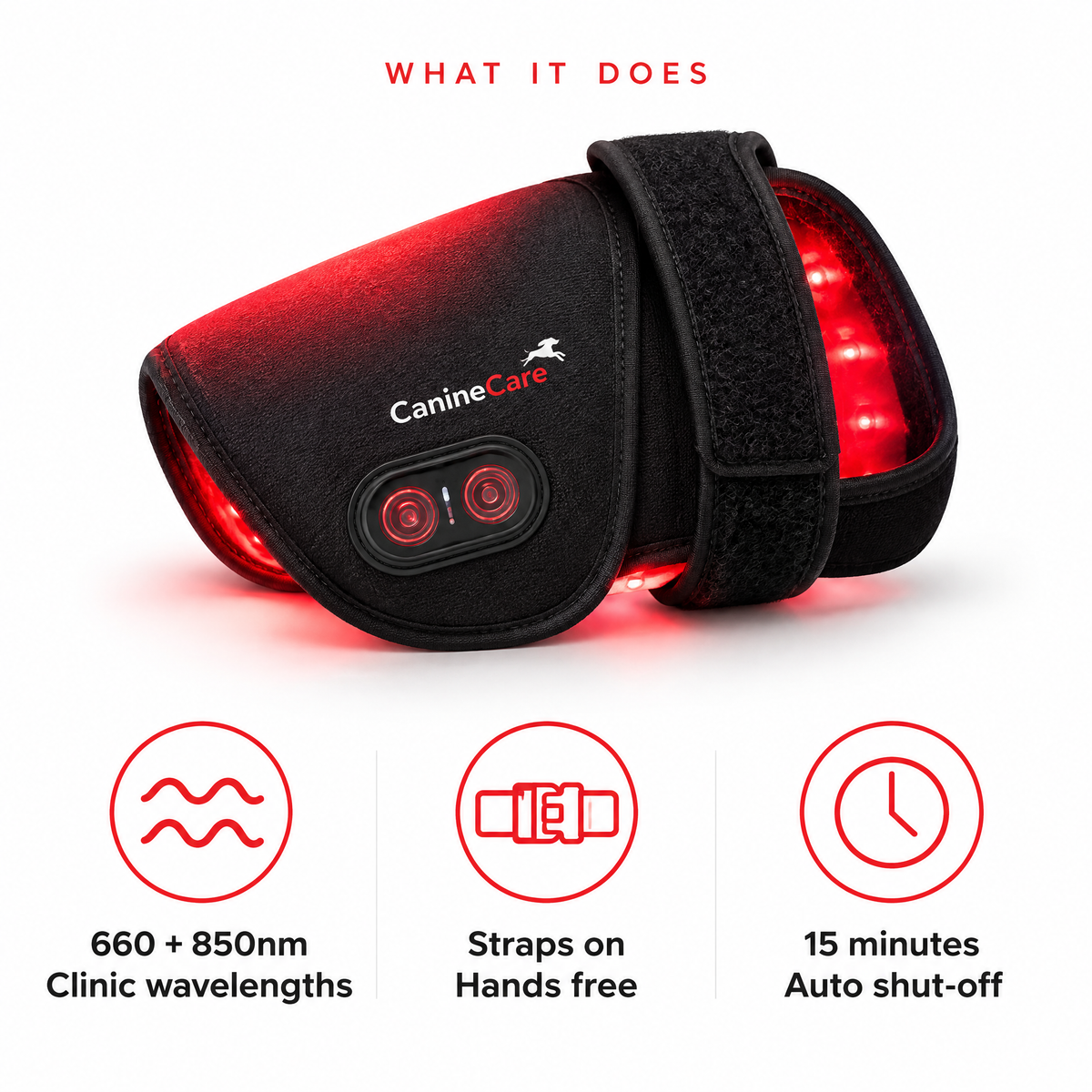 Dog Red Light Therapy Pad