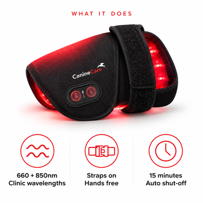 Dog Red Light Therapy Pad