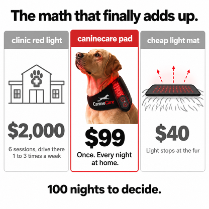 Dog Red Light Therapy Pad