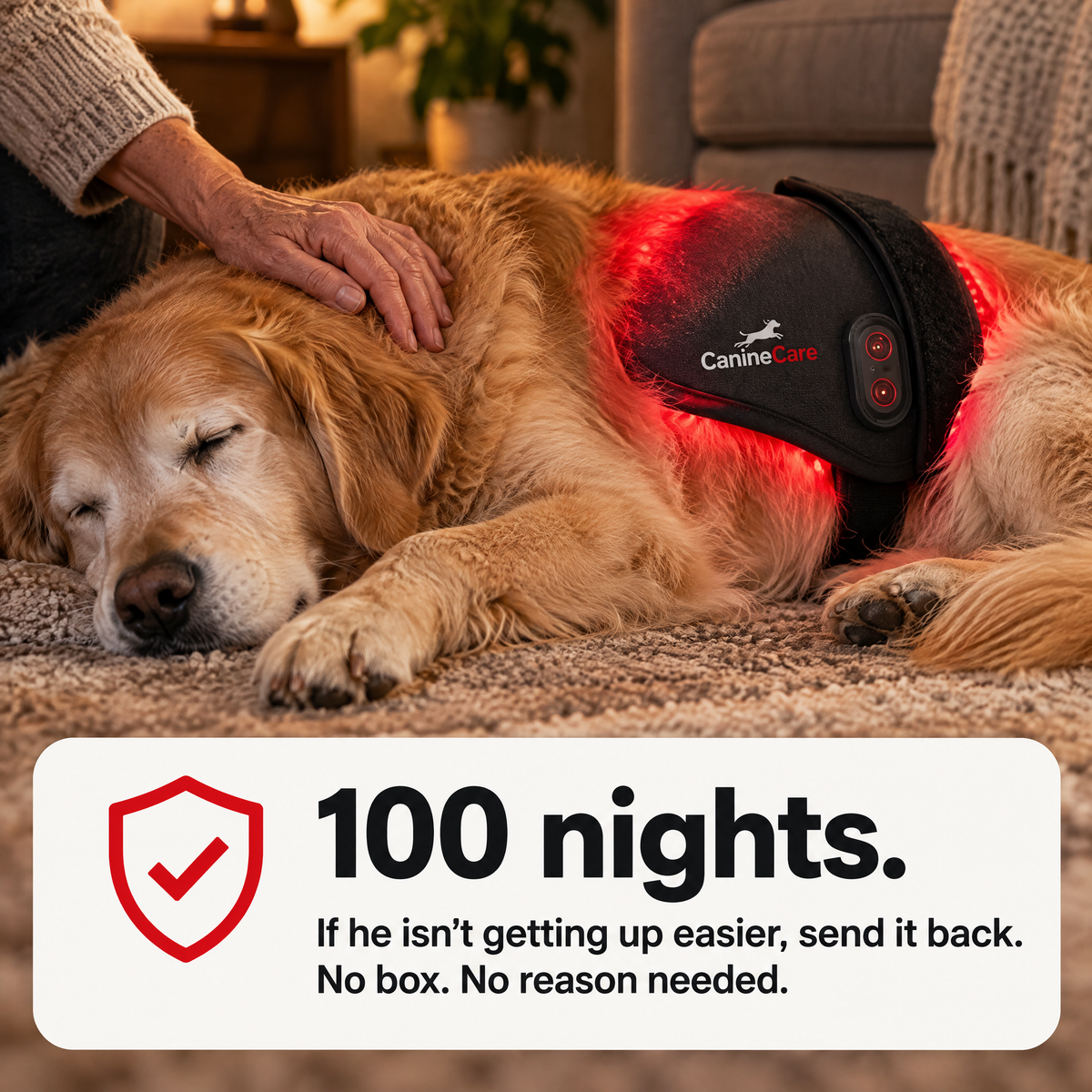 Dog Red Light Therapy Pad